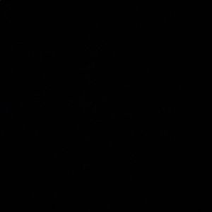 Meet your Posher, Vicki